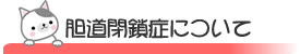 胆道閉鎖症について